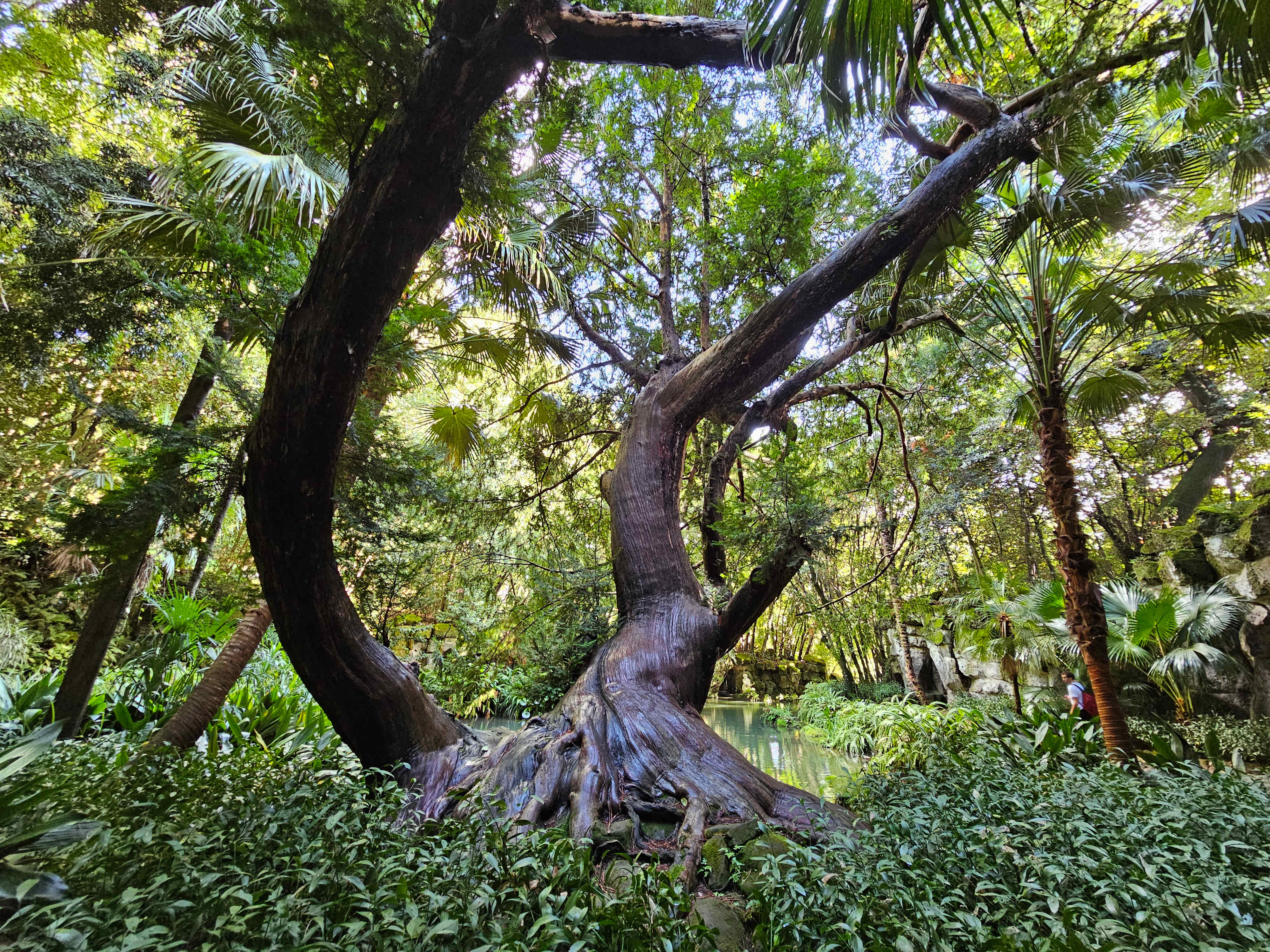 English Garden